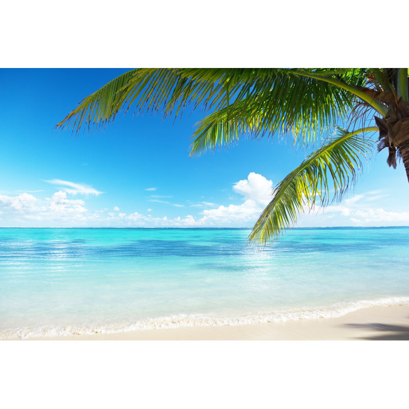 «Palm and Sea» par Iakovkalinin - Photographie sur toile tendue, L 12 po x H 8 po