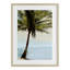 «Honduras Coast Palm Tree», reproduction encadrée sous verre, conception de Natalie Carpentieri-1336888686-1336888681