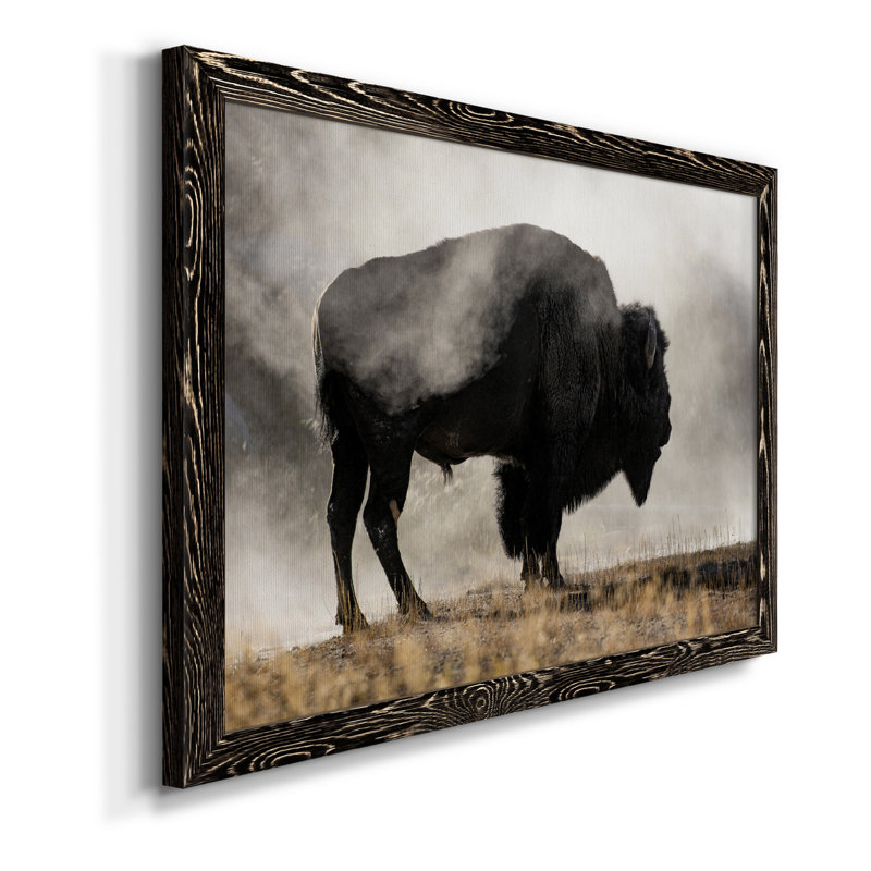 Geyser Basin - Impression sur toile, Noir, H 24 po x l 18 po x P 1,5 po