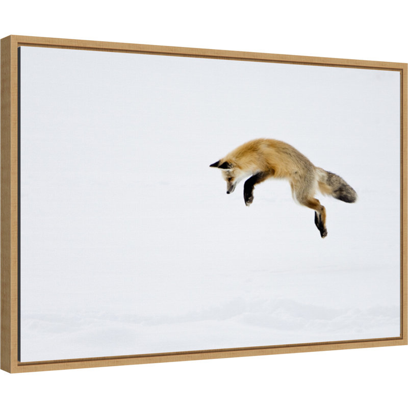 «Red Fox in Snow» par Deborah Winchester Danita Delimont - reproduction de photo à cadre flottant sur toile