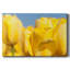 Toile tendue I-Gallery jaune soleil-1928397088