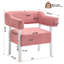 Chaise avec accoudoirs moderne en métal pour salon, chambre à coucher (ensemble de 2)-1847138577-1847138578