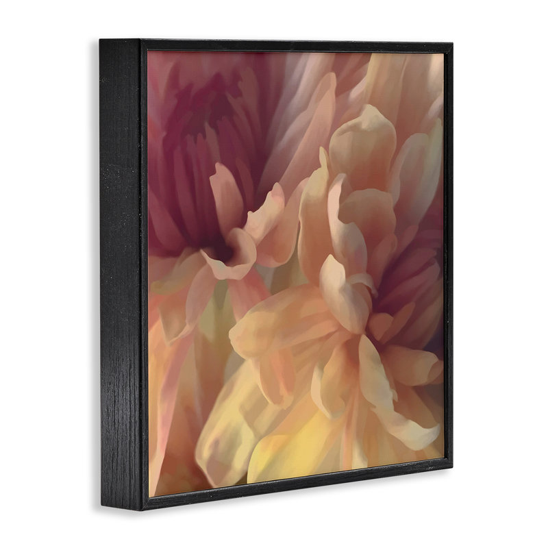 «Curling Dahlia Petals», estampe numérique encadrée par David Pollard, H 12 po x l 12 po, Giclée encadrée noir minuit