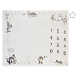 NoJo Warner Bros. Looney Tunes Best Buds Bugs Bunny, Tweety, Tasmanian Devil, and Sylvester the Cat Milestone Blanket