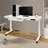 Electric Standing Desk with USB Charging & Storage Drawer – 220lb Capacity, Adjustable 28-44” Height-278554455