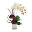 Orchid Arrangement With Sedum In Silver Glass Vase