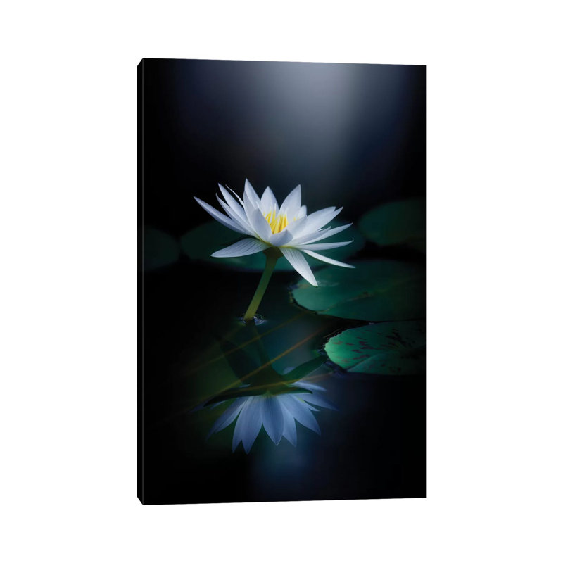 Reflection III by Takashi Suzuki - Wrapped Canvas Print, 66.04 cm H x 45.72 cm W x 1.91 cm D