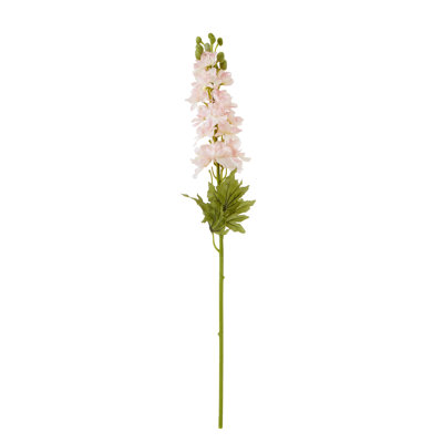 The Natural Garden Collection Elatum Delphinium