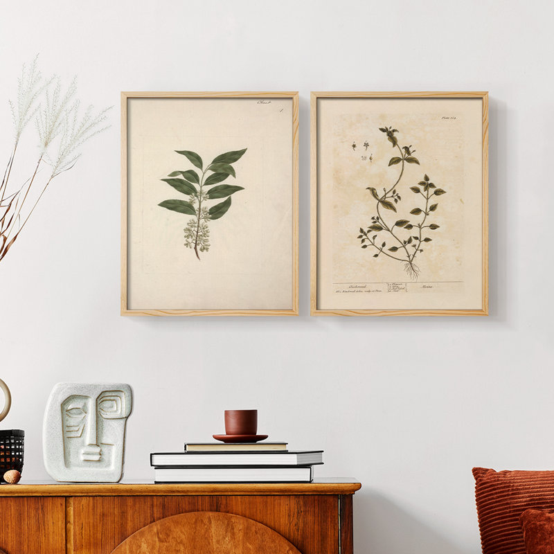 «Vintage Floral XIX», estampe numérique encadrée - ensemble de 2, Naturel, H 12 po x l 30 po