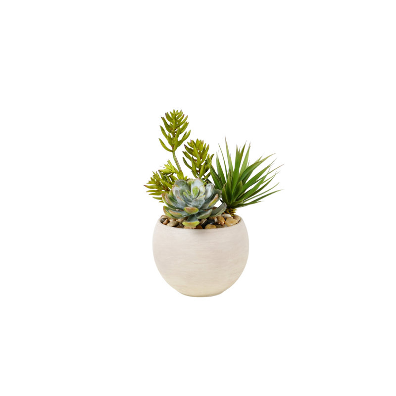 Succulent Arrangement in Granite Ceramic Sphere