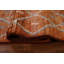 Tapis orange / bleu en laine noué à la main de conception unique 6 pi 8 po x 9 pi 10 po New Age