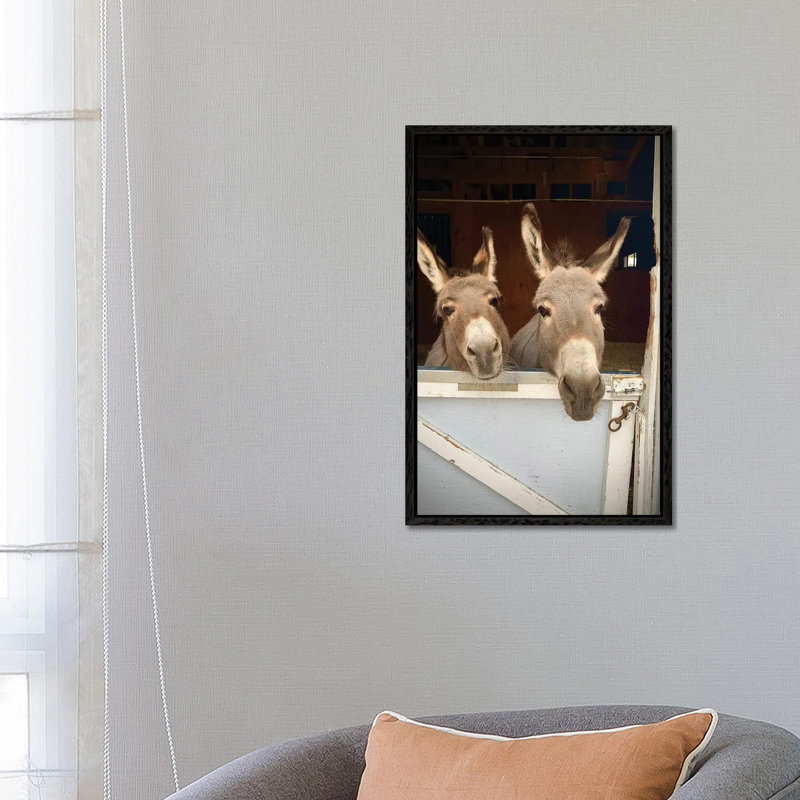 Pair Of Donkeys by Susan Vizvary - Print on Canvas, 66.04cm H x 45.72cm W x 3.81cm D, Black Floater Framed