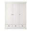Aaden 3 Door Solid + Manufactured Wood Wardrobe