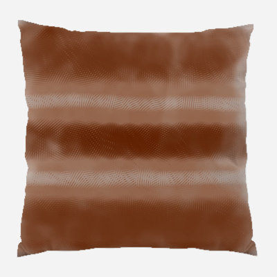 Coussin décoratif transparent