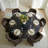 6 - Person Dining Table Sets With Round Table & 6 Upholstered Chenille Chairs-124881792-124881789