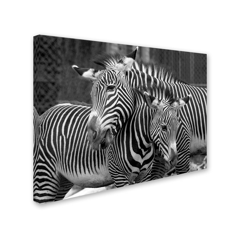 Alexan «Zebras», reproduction de photo sur toile tendue, H 35 po x l 47 po