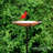 Faus Copper Single Tier Birdbath