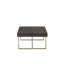 Thomas Bina Coffee Table