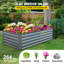 Lit de jardin surélevé en métal Sneedville