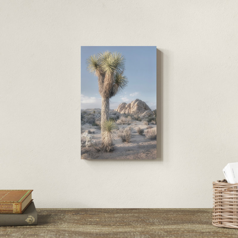 Joshua Tree National Park I par Alan Majchrowicz - photographie sur toile tendue, H 12 po x l 8 po x P 1,25 po