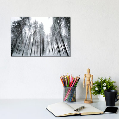 Trees In Motion by Andreas Stridsberg - Gallery-Wrapped Canvas Giclée on Canvas