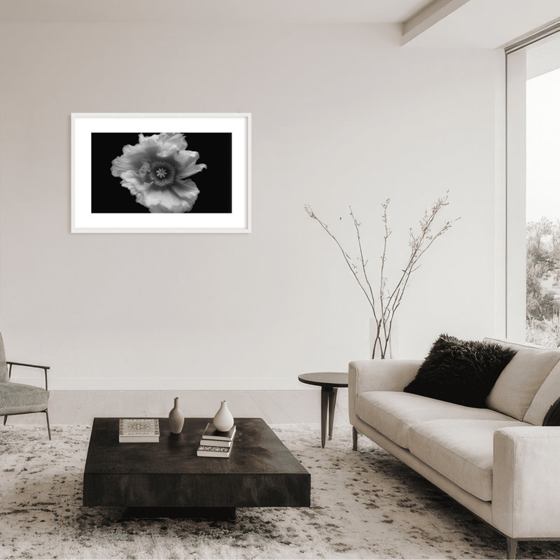 Nature Inspired Poppy in Mono by  - Picture Frame Photograph on Paper, 16" H x 24" W x 1.125" D, Framed Matted Print, Black