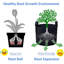 JML Growing Kit-59297217