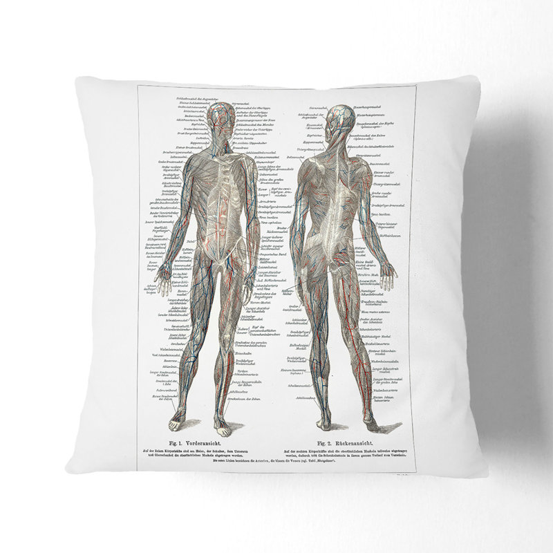 Square Throw Cushion, 55cm H x 55cm W x 20cm D, Black