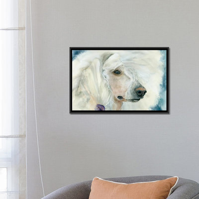 Continental chic - Caniche blanc