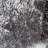 In The Storm by WINK GAINES a Hand Embelished Textured Framed Art Photograph Matted under Glass