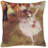 Pillow Cover