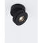 Dermando LED Spotlight