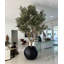 98" Artificial Olive Tree in Pot
