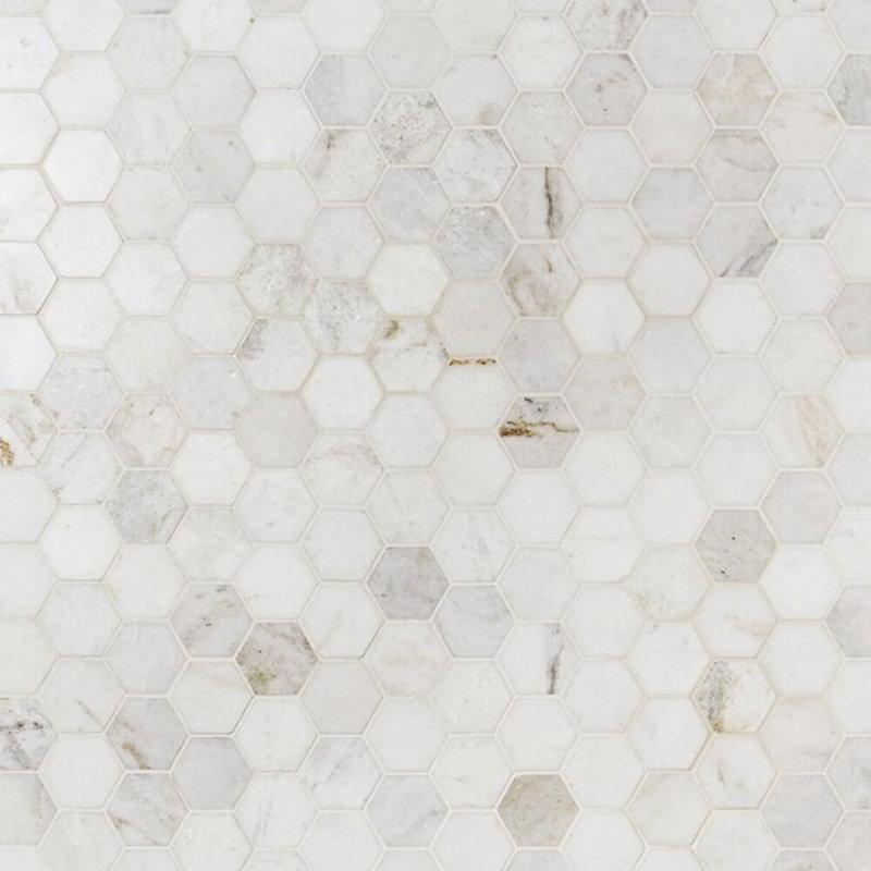 Alaska White Penny Round Polished Marble Tile