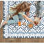 Elsien Vinyl Machine Printed Area Rug-1884856811