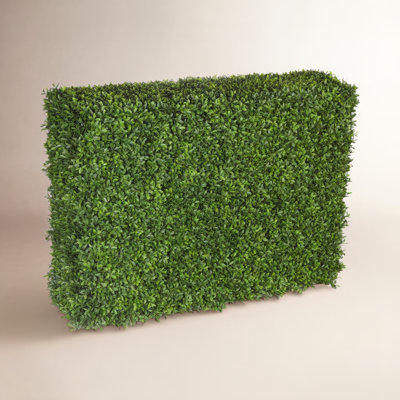 Hedge