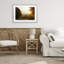 Golden Morning Entre Arbres, reproduction encadrée sous verre, design par Gail Peck-1757646797-1757646794
