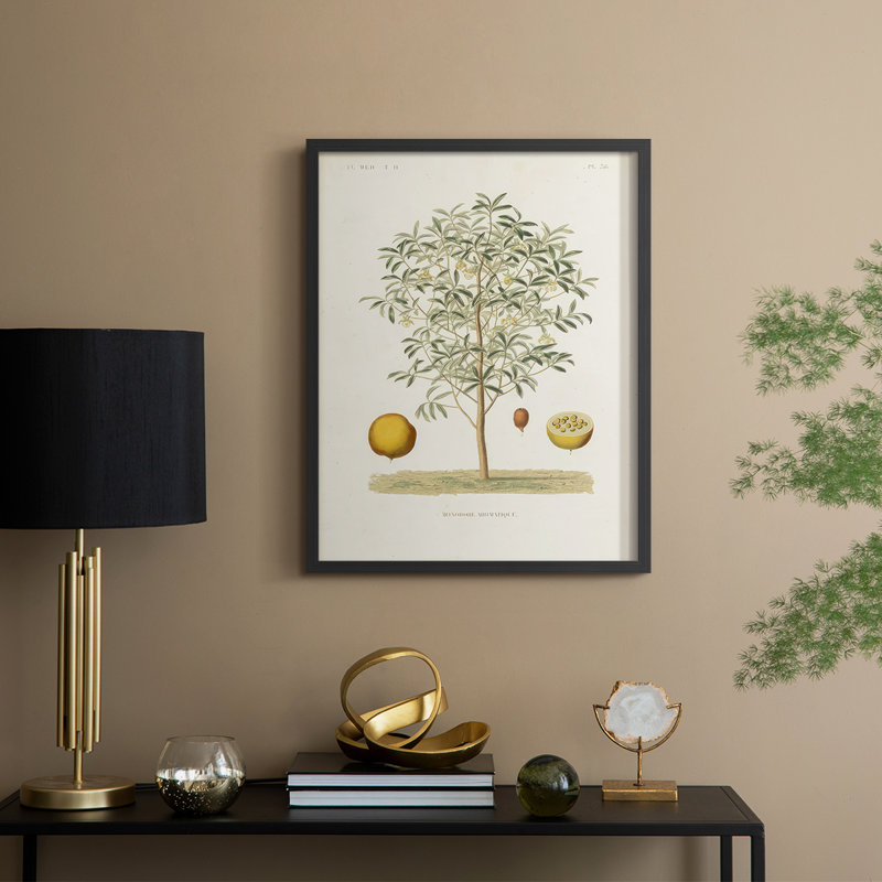 Arbre antique avec fruit IV, reproduction encadrée - bois massif, H 21 po x l 17 po, Noir, noir, noir, noir