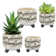 Damarkus Handmade Ceramic Pot Planter