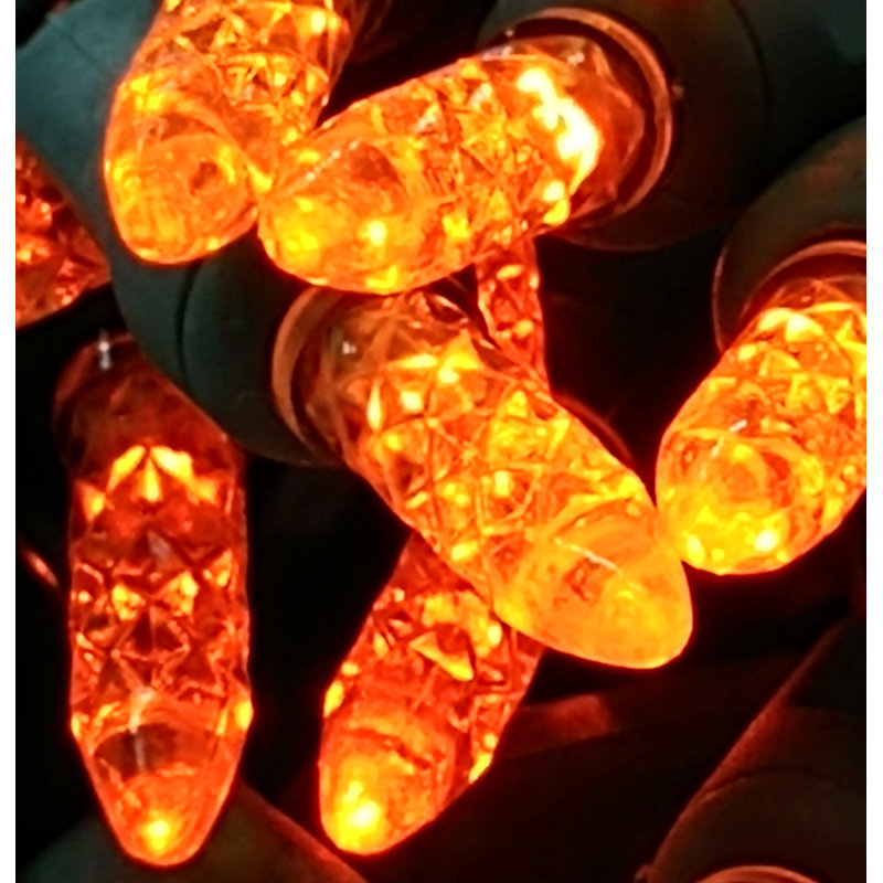 9.5'' LED String Lights, Orange