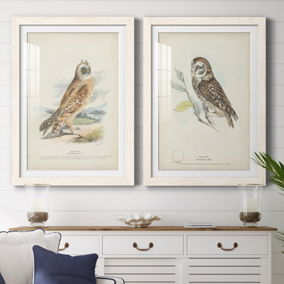 " Hawk Owl " 2 - Pieces