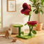 Grand arbre à chat rouge 50,8 po avec deux fleurs, rose doux, pour chat et chat