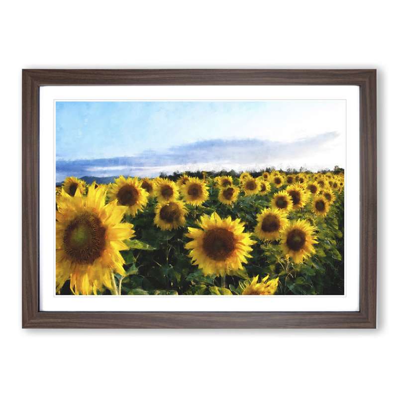 Sunflowers - Picture Frame Painting, Walnut Framed, 48cm H x 65cm W x 2cm D
