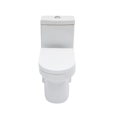 Ceramic One Piece Toilet For Bathroom, 12-Inch Rough-In, 1.1/1.6 GPF, Dual Flush With Soft Clsoing Seat, Powerful Dual Flush MAP 800G