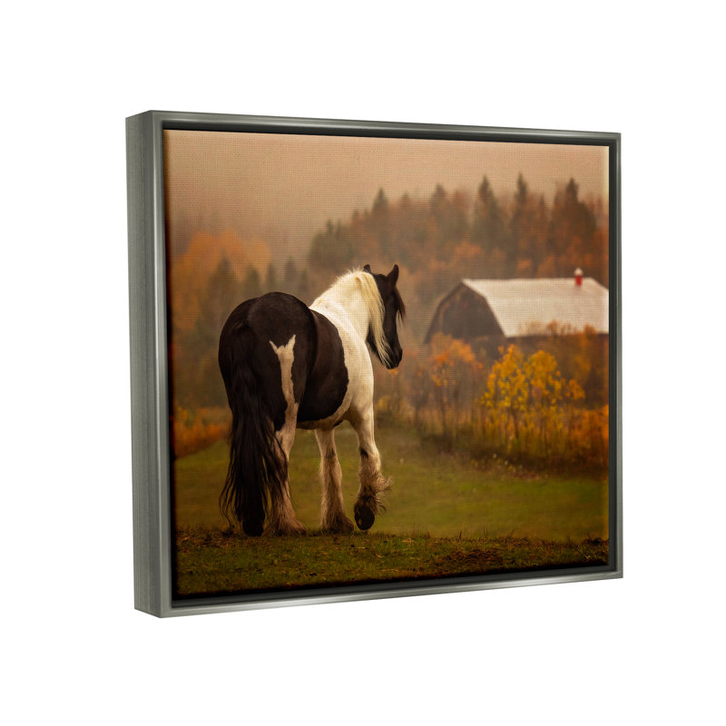 Cheval surplombant une grange, reproduction encadrée sur toile par PHBurchett, Cadre flottant gris lustré