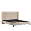 Lit tapissier capitonné standard à profil bas Kaster-560823568-560823569