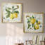 Linen Lemons I - ensemble de 2 impressions-1646023056-1646023062-1646023059