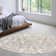 Cristiaan Damask Machine Woven Polypropylene Area Rug in Beige