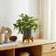 Pot à fleurs en céramique avec support en bambou - Pot moderne avec base surélevée pour l'intérieur-2128106333-2016597957-2016597956