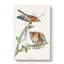 Red-shouldered Hawks by Albert Racinet - Wrapped Canvas-55341574